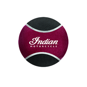 Indian hundleksak