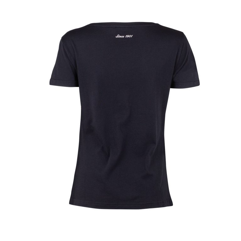 Indian Gradient Logo T-Shirt Dam