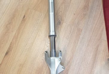 Framgaffelben Victory