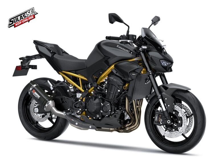 Kawasaki Z900 Performance
