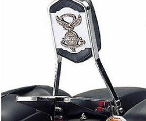 Sissybar med pakethållare Kawasaki EN 500 96-06